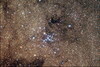 天蝎座的疏散星團M7