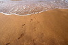[Canon]海沙與腳印