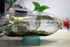 寶特瓶環保魚缸-花器製作 GREEN ART