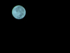 [Olympus]據說是今年最大月亮