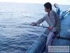 馬來西亞(霹雳州)半港海山垂钓劲鱼种类