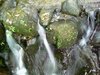 [Dopod]綠光森林的水