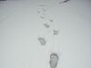 [Ricoh]自1984年來蘇州最大的雪---再加相片