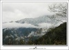 太平山雪景