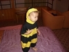 我家寶貝:可愛的小蜜蜂