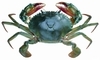 一只螃蟹頂開鍋蓋，對你說：“我熱！”
