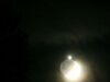 1月30日20时 金星合月