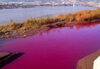 黃河又遭污染，黃河蘭州段出現1公里長污染帶