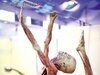 南京展出16具完整人體標本和器官標本(組圖)