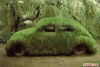 森林中廢棄的汽車