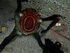 Half-Life 2彈藥顯示怪怪的