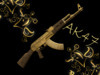 Gold Pattern Engraving  Elegant AK47