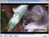 VLC Media Player  2.1.1 (含繁、簡 ..